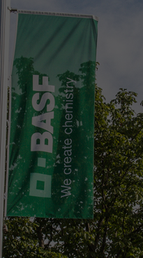 BASF Flags in a row