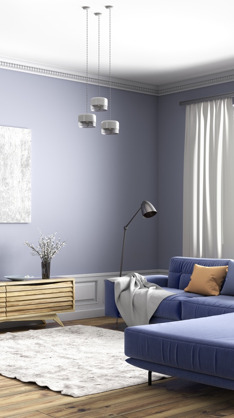 Furnished Living room