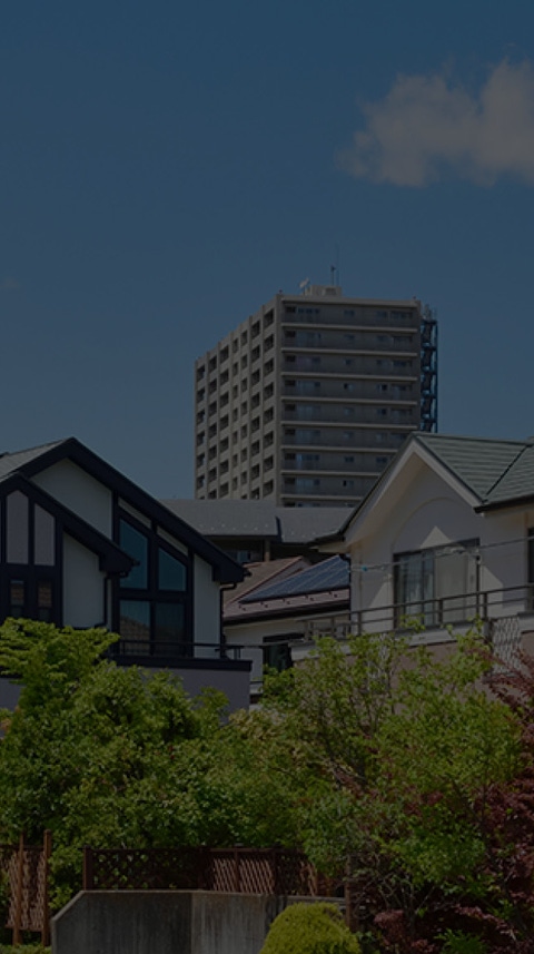 picture of a neighborhood with single and multi-family residences picture of a neighborhood with single and multi-family residences