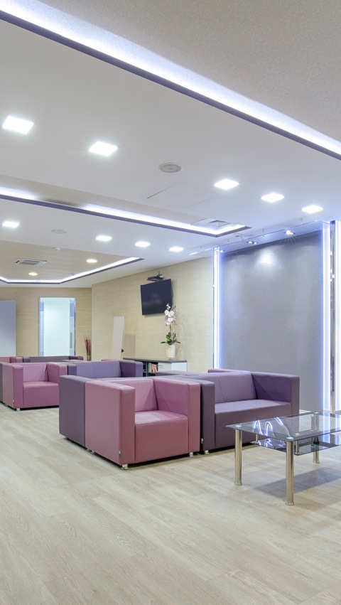 Commercial office with purple furniture