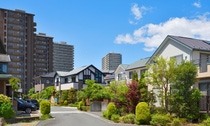 Image of a community with single and multi-family residential constructions